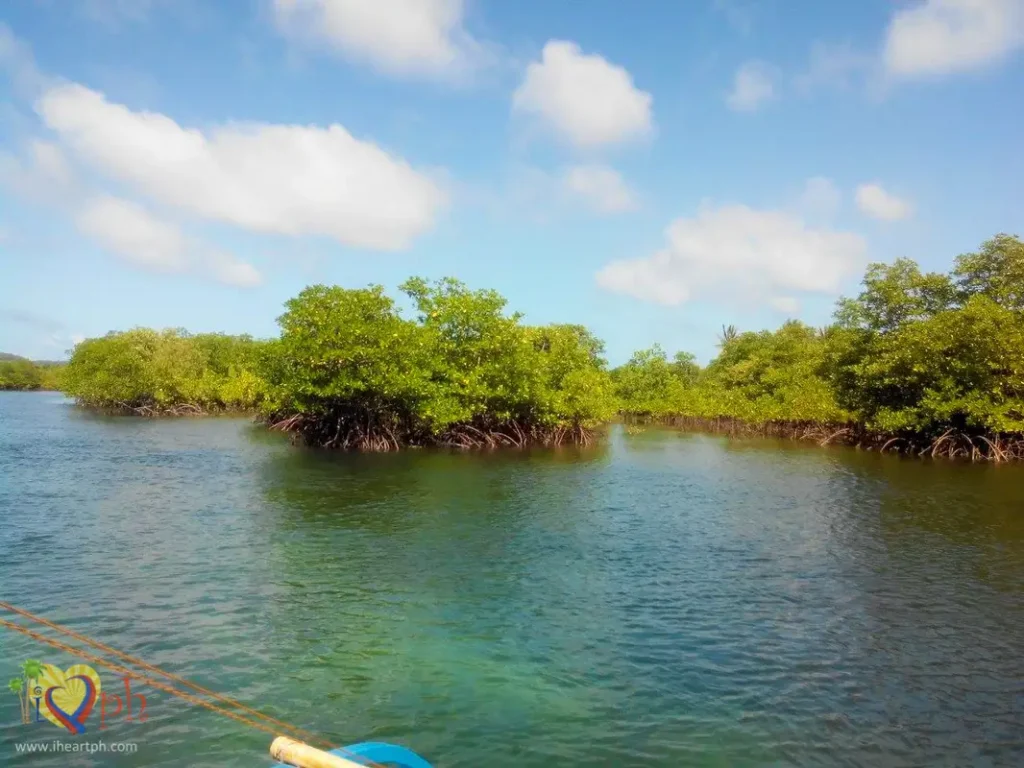 Ilog Bukana in Cagbalete Island