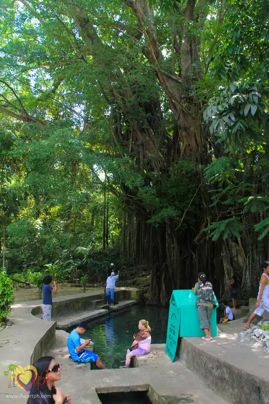 Enchanted Balete Tree in Lazi, Siquijor, Philippines