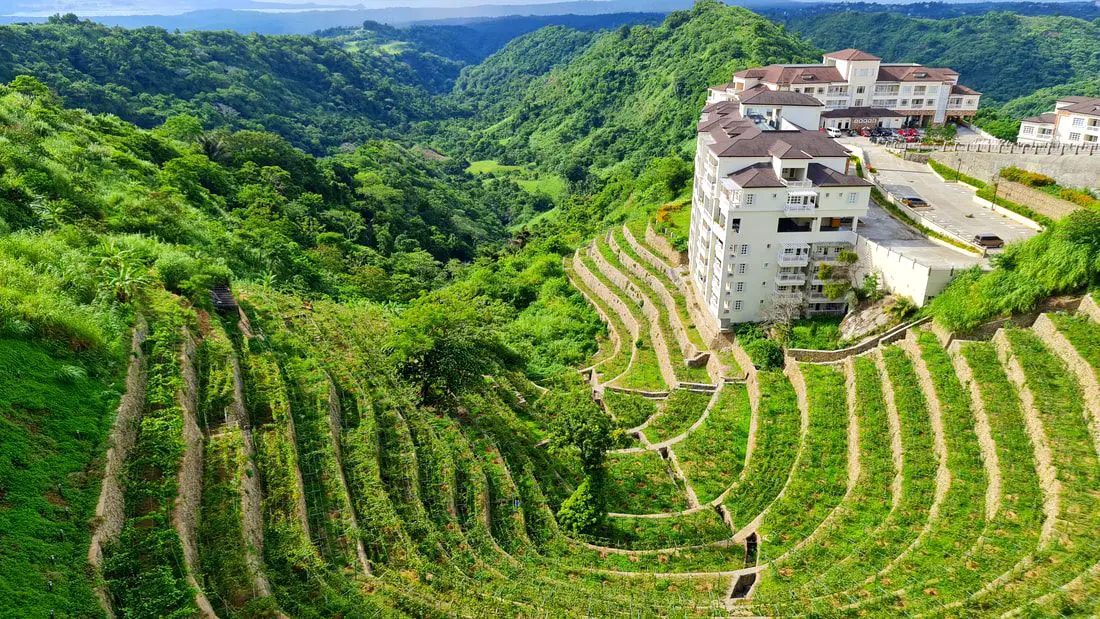 Grape-Picking at the Vineyard in ​Twin Lakes Tagaytay