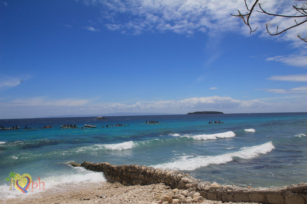 In front of BCD's Place, Oslob Cebu Philippines