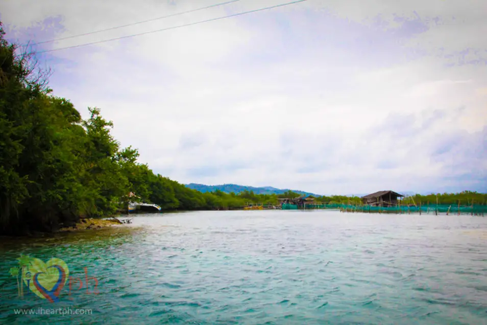 Juag Lagoon Fish Sanctuary in Matnog Sorsogon