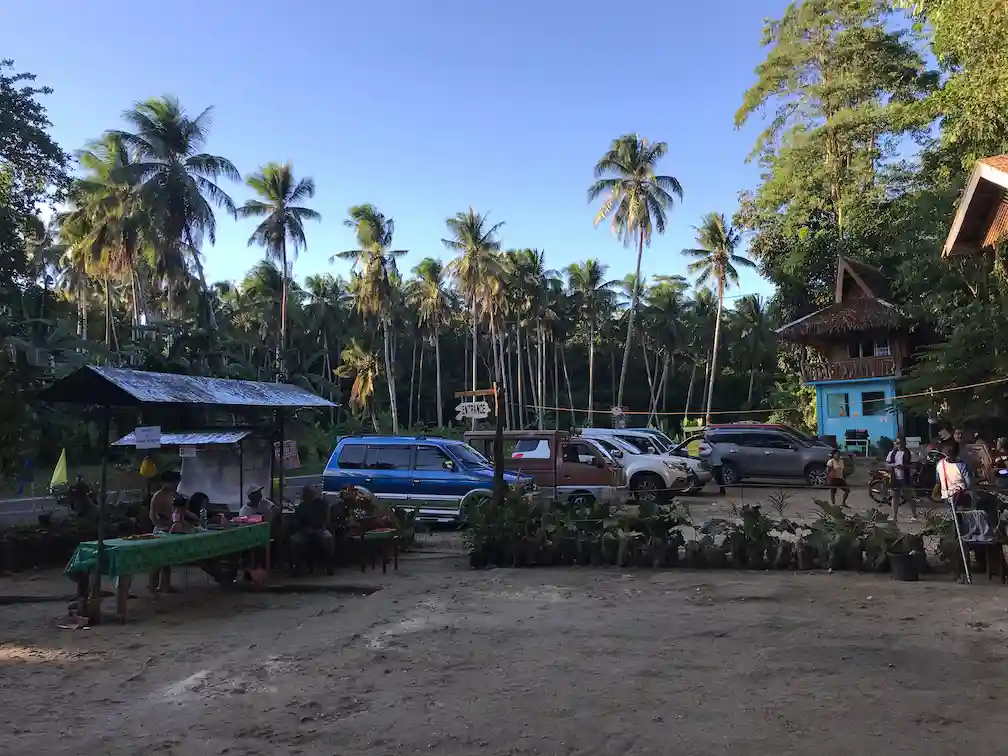 Entrance to the enchanted balete tree in Siquijor