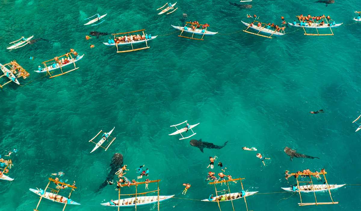 drone shot boats and whaleshark orig 1