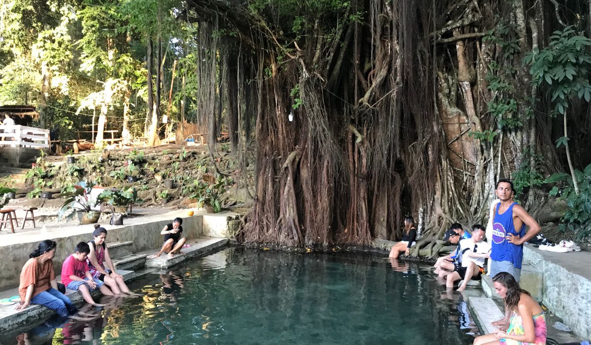 Enchanted Balete in Lazi, Siquijor, Philippines